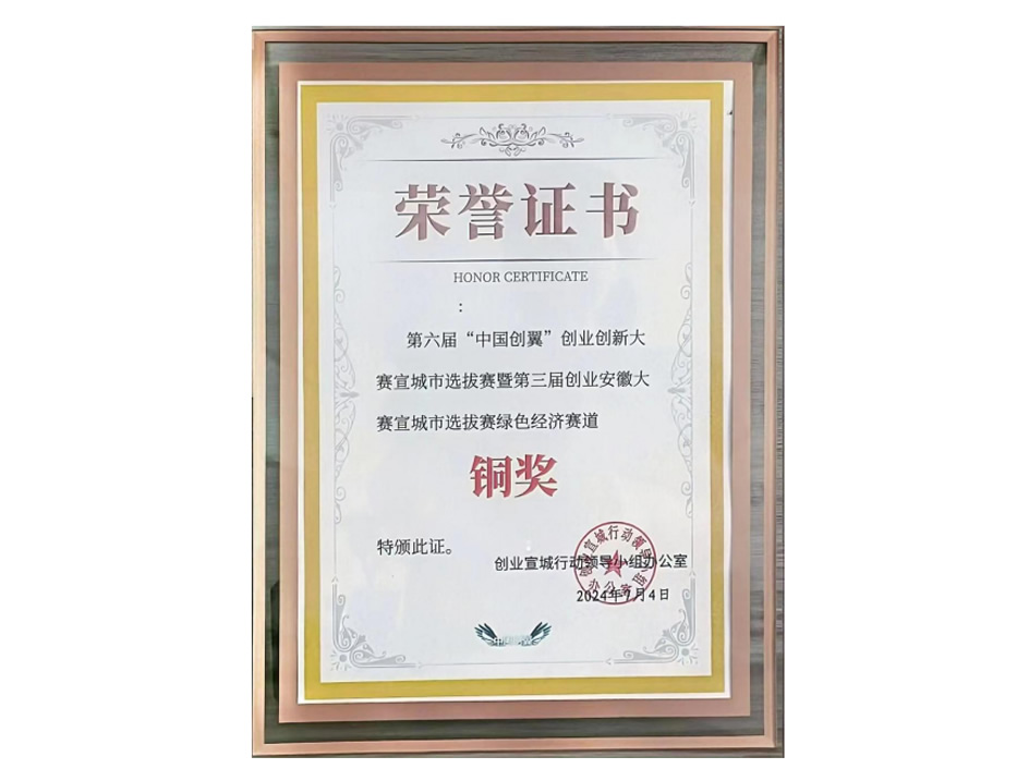 Bronze Award in Entrepreneurship and Innovation Competition